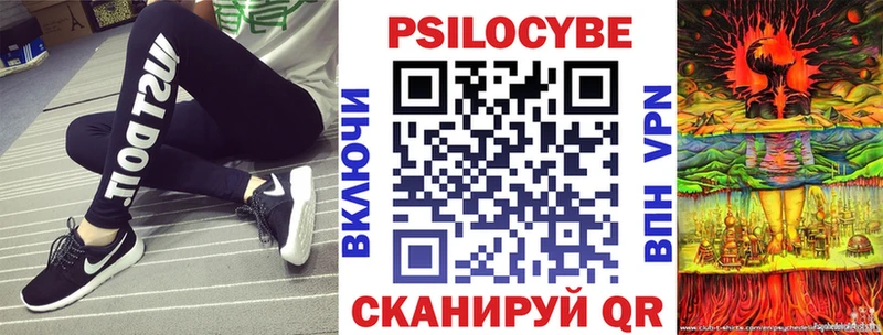Псилоцибиновые грибы GOLDEN TEACHER Купить где Мурино